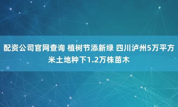 配资公司官网查询 植树节添新绿 四川泸州5万平方米土地种下1.2万株苗木