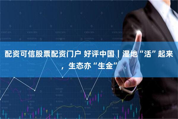 配资可信股票配资门户 好评中国｜湿地“活”起来，生态亦“生金”