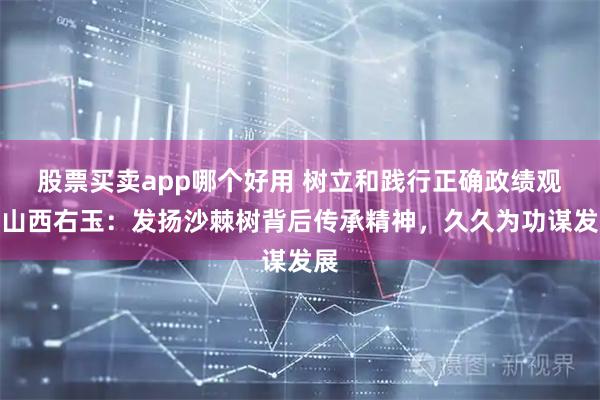 股票买卖app哪个好用 树立和践行正确政绩观｜山西右玉：发扬沙棘树背后传承精神，久久为功谋发展