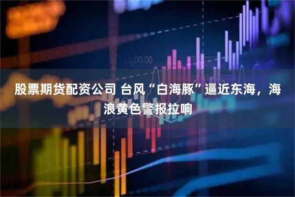股票期货配资公司 台风“白海豚”逼近东海，海浪黄色警报拉响